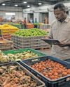 How machine learning can reduce food waste in SA's wholesale markets17
