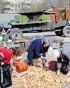 Cape Argus