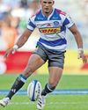 Who leads the Boks' flyhalf race ahead of the international season?34