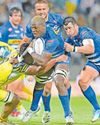 Why the Stormers' attack needs Dayimani back31