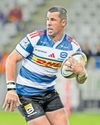 Nel and 'miracle man' Fourie could return for Lions clash Nel and 'miracle man' Fourie could return for Lions clash27