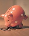 How to maximise your TFSA this month How to maximise your TFSA this month19