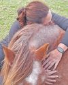 Time is running out for horse sanctuary4