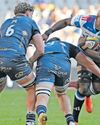 Cape Argus