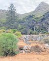Cape Argus