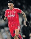 Forest's European dream provides relegation worries respite32