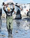 Cape Argus