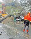Cape Argus