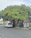 Cape Argus