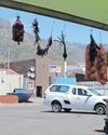Cape Argus