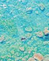 UN warns of ‘deepening crisis’ in our oceans and urges action UN warns of ‘deepening crisis’ in our oceans and urges action23