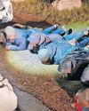 Group of 12 nabbed in abalone poaching probe Group of 12 nabbed in abalone poaching probe3