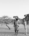 Camel-back cavalry: a unique strategy against jihadism13