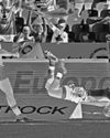 White seeks to land 'Bulls eye'28
