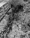 US strikes 'obliterated' Iran sites12