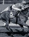 Gallic Victor is more than promising18