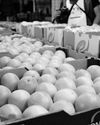 US tariffs will test SA'S economic resilience7
