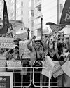 ‘No amnesty’ Brazilians march against Bolsonaro ‘No amnesty’ Brazilians march against Bolsonaro13