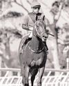 Lerena to unite with One Stripe23