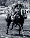 No stopping ‘Willie’ at Scottsville19