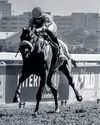 Rafa Bay could be the one to beat20