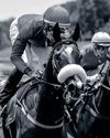 On and up for King Pelles19