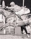 Punters put to the test25