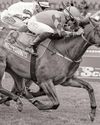Roland Hearst makes his local debut20
