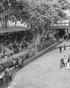 Mauritius racing is back on track16