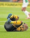 Five stars facing the axe at Naturena this winter Five stars facing the axe at Naturena this winter19