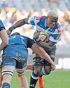Why 'hybrid' Dayimani is the Stormers' new tactical weapon24