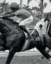 The Playboy Bomber targets victory18
