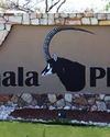 'PHALA PHALA DOUBLE STANDARDS EXPOSED'1