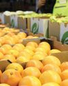 China eyes increase in South African agricultural imports, says Agbiz20