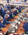 Tiger Brands secures future for 3 000 farm workers with sale of Langeberg fruit business33