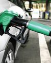 Markets remain bullish, while fuel prices are under pressure33