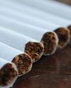 Tensions rise in SA's tobacco industry amid allegations of illicit cigarette trade28