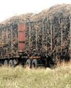 SA sugar industry set for improved harvest; yet tariff uncertainty threatens the sector's future23