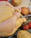 SA cannot afford any more delays to Brazil poultry imports by vet inspectors at the border25