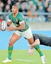 Springboks back on top of the world Springboks back on top of the world45