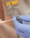 A special festive baby boom at Cango Wildlife Ranch in Oudtshoorn11