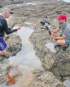Discovering the hidden treasures of the seashore with the Griffiths14
