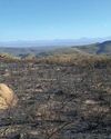 Wildfires take toll on already stretched Western Cape resources6