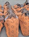 Correctional Services intensifies contraband searches at Empangeni5