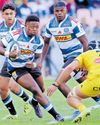 Stormers target attacking revival in Champions Cup decider35