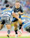 'Andre the Giant' keeps feet on the ground as Sharks eye Stormers double40