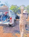 Cape Times