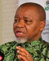 South Africa's gas supply at risk: Mantashe's plan to lift tracking moratorium28