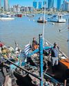 Cape Times