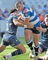Why Stormers' attack is failing to fire despite forward dominance Why Stormers' attack is failing to fire despite forward dominance38